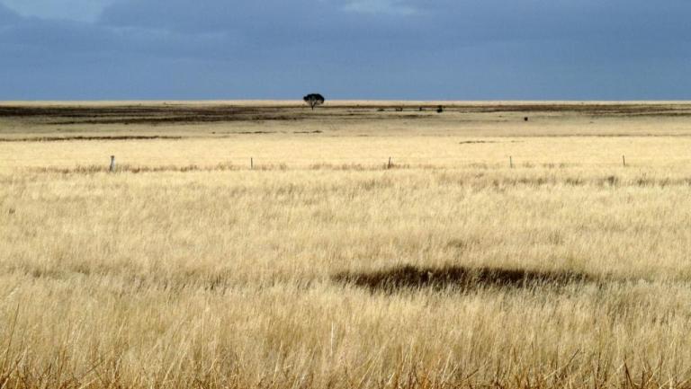 Nullarbor